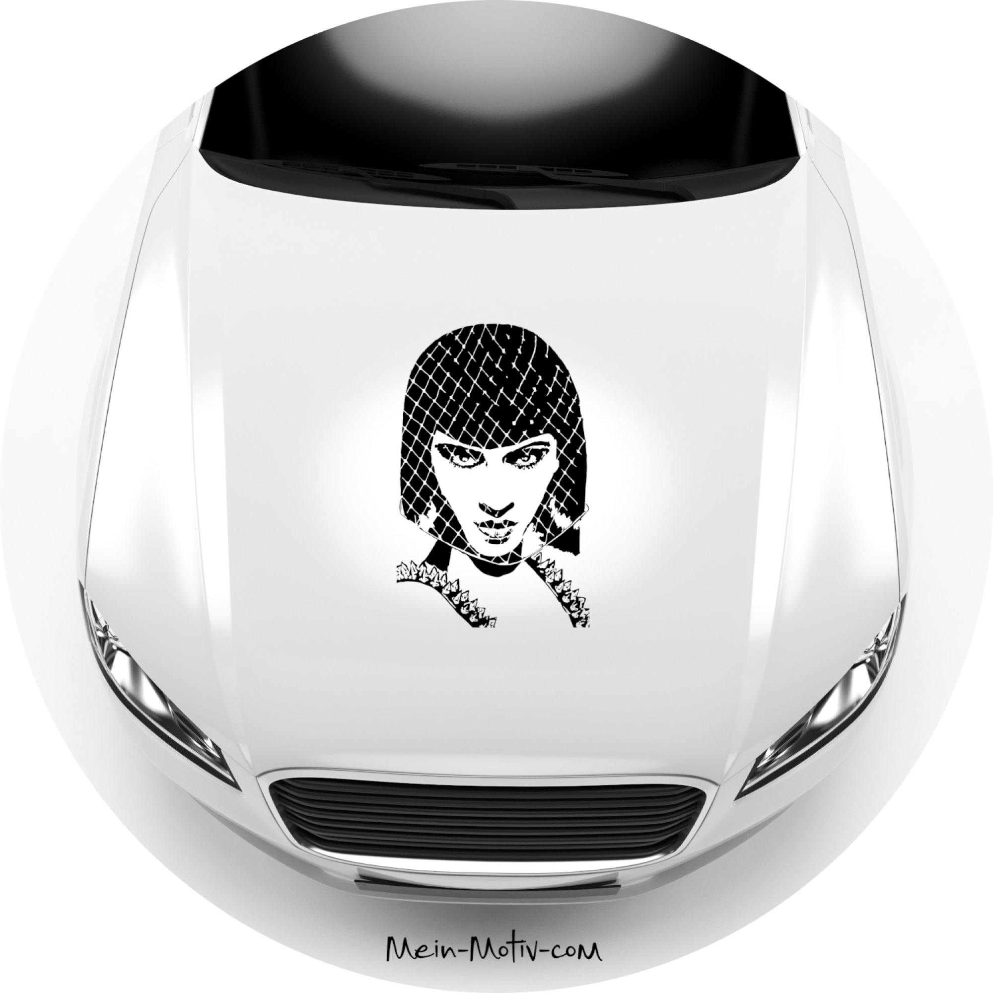 Aufkleber 16018 Newton-Face